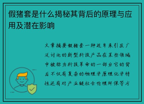 假猪套是什么揭秘其背后的原理与应用及潜在影响